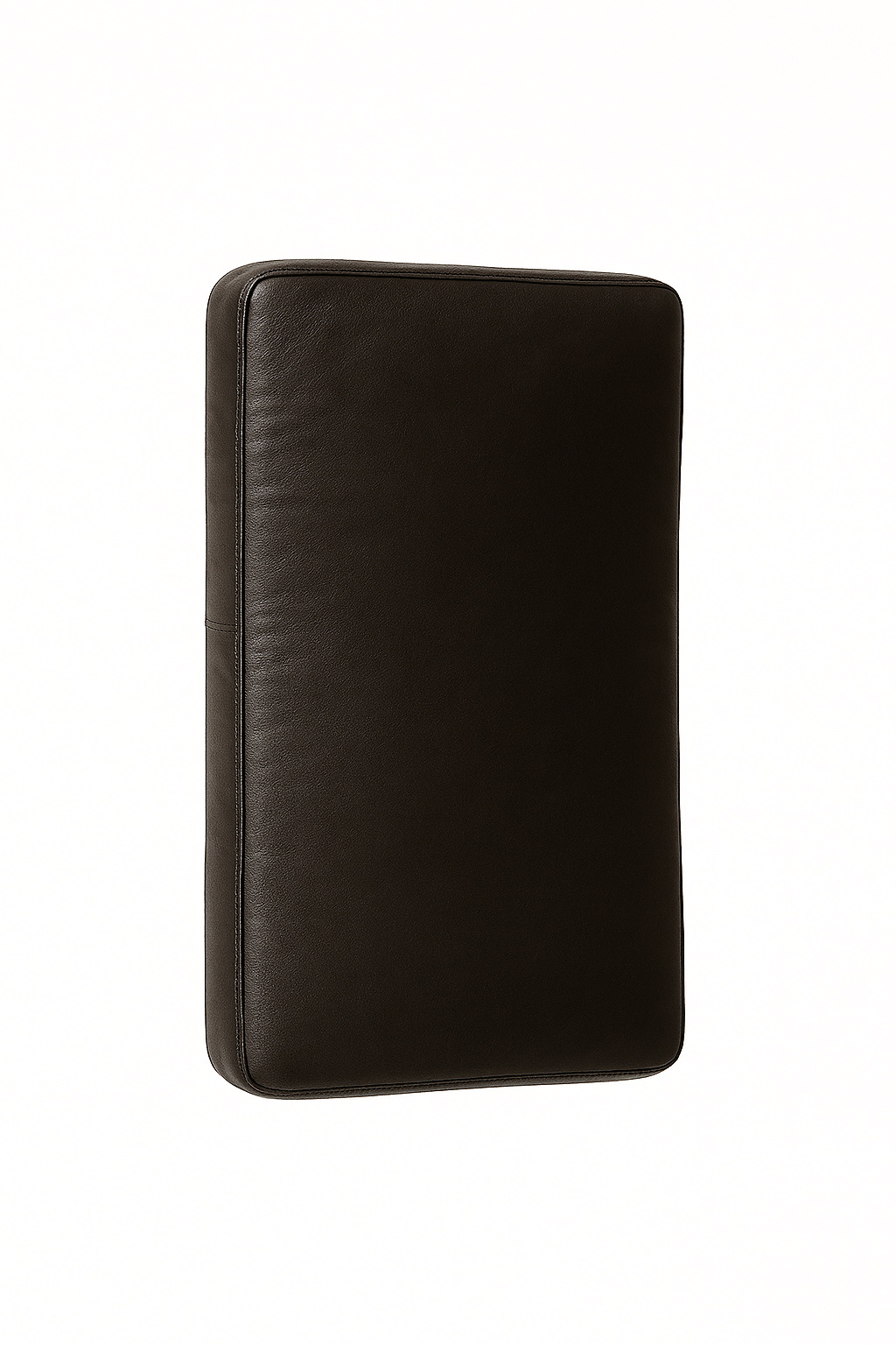 Kick Shield Training